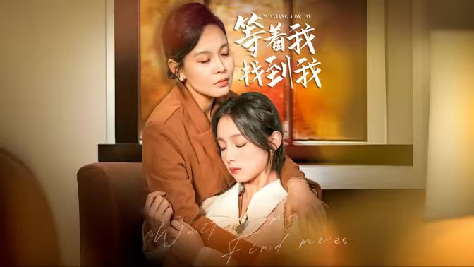 等著我，找到我(全集)