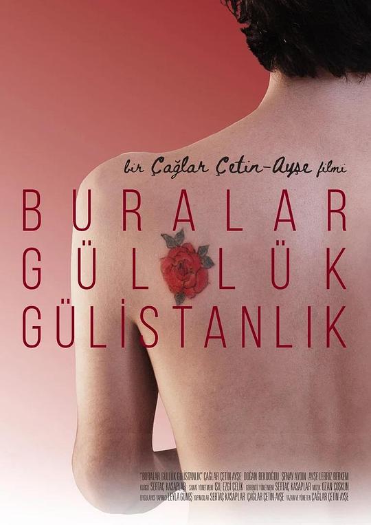 這里是一片玫瑰園