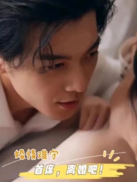 婚情難守：首席，離婚吧(全集)