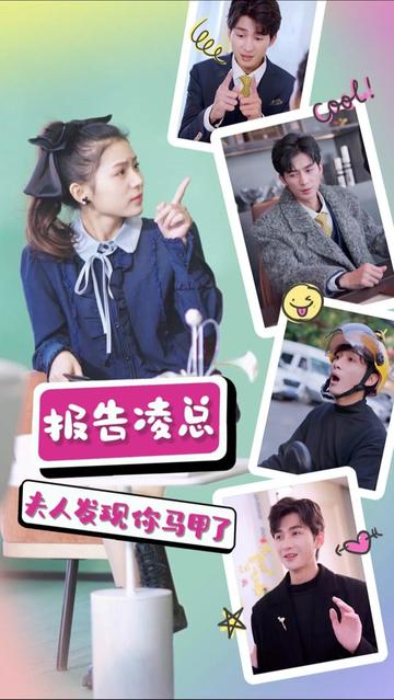 報(bào)告凌總，夫人發(fā)現(xiàn)你馬甲了(全集)