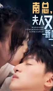 南總，夫人又出新款了(全集)