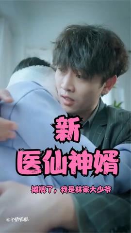 攤牌了，我是林家大少爺(新：醫(yī)仙神婿)(全集)