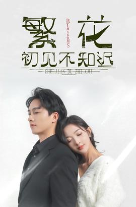 繁花初見(jiàn)不知遲(全集)
