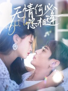 無情何必怨相逢(全集)