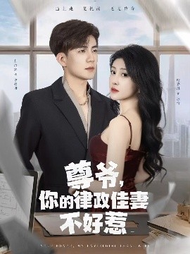 尊爺，你的律政嬌妻不好惹(全集)