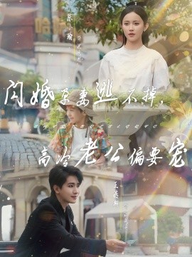 閃婚孕妻逃不掉，高冷老公偏要寵(全集)