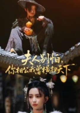 夫人別怕，你相公我曾橫掃天下(全集)