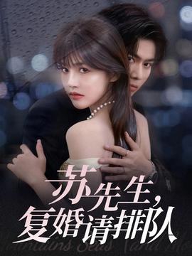 蘇先生，復婚請排隊(全集)