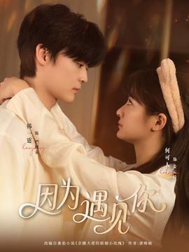 因?yàn)橛鲆?jiàn)你(全集)