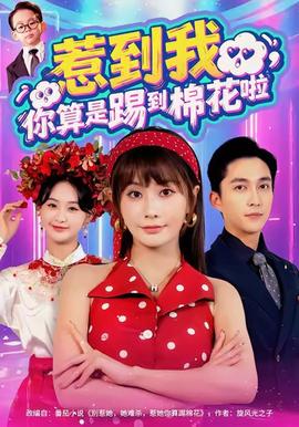 惹到我，你算是踢到棉花啦(全集)