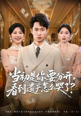 當(dāng)初是你要分開，看到遺產(chǎn)怎么哭了？(全集)