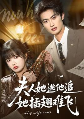 夫人她逃他追，她插翅難飛(全集)