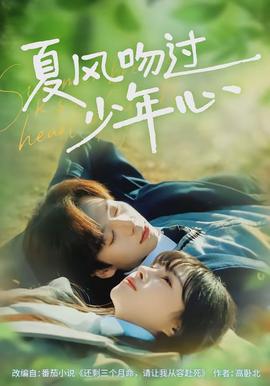 夏風(fēng)吻過(guò)少年心(全集)