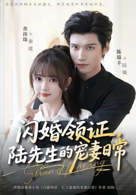 閃婚領(lǐng)證，陸先生的寵妻日常(全集)