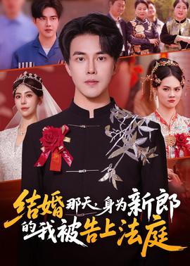 結(jié)婚那天，身為新郎的我被告上法庭(全集)